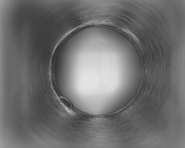 X0000074940894200609221702