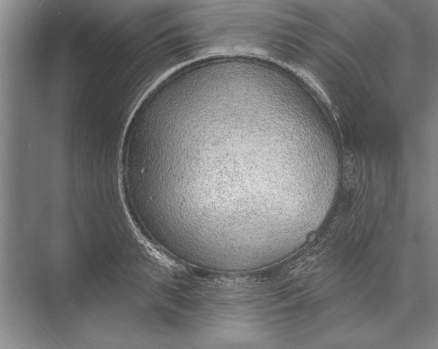 X0000074940895200609221702