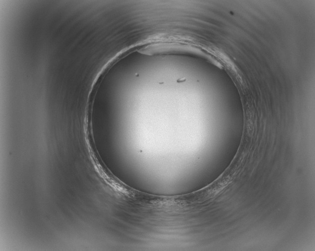 X0000074940896200609221702