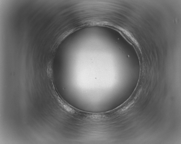 X0000074940897200609221702