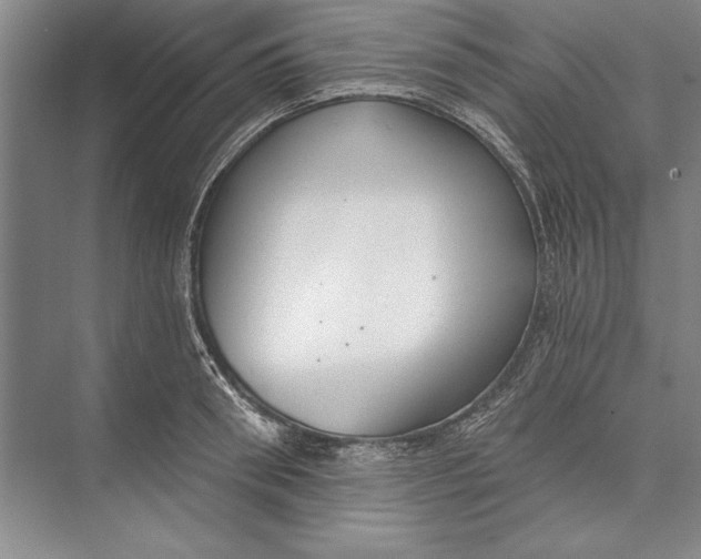 X0000074940898200609221702