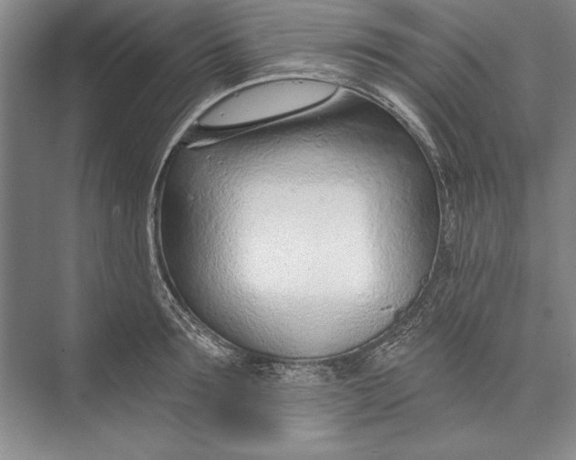 X0000074940899200609221702