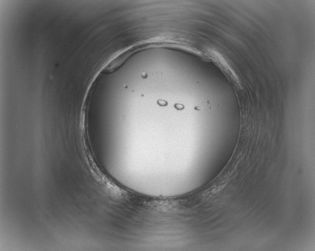 X0000074940900200609221702