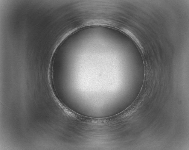 X0000074940901200609221702