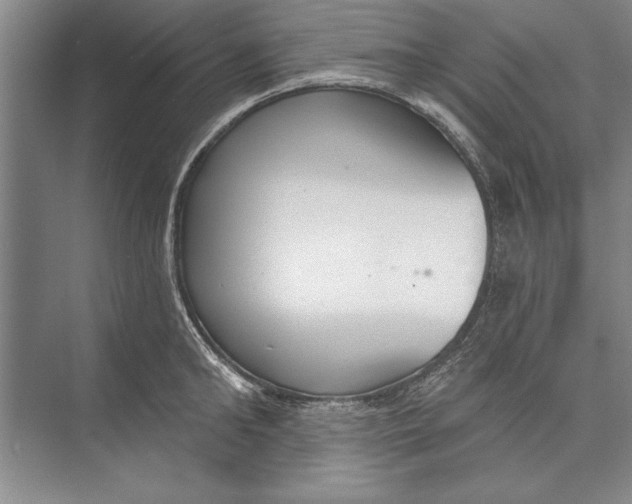 X0000074940902200609221702