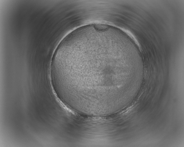 X0000074940903200609221702