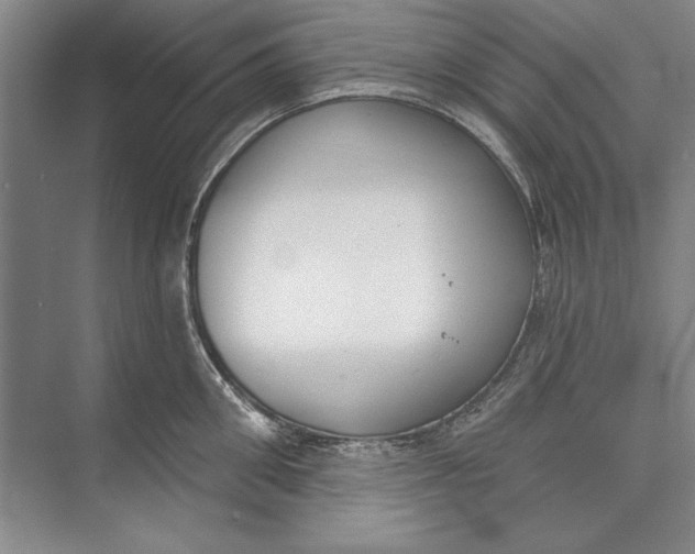 X0000074940906200609221702