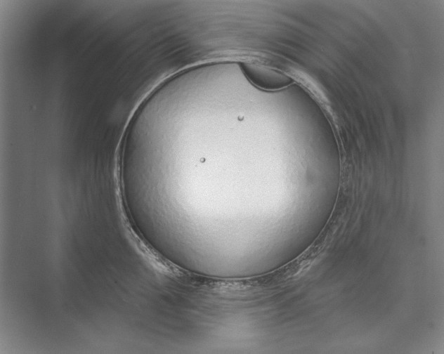 X0000074940907200609221702