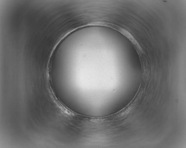 X0000074940908200609221702