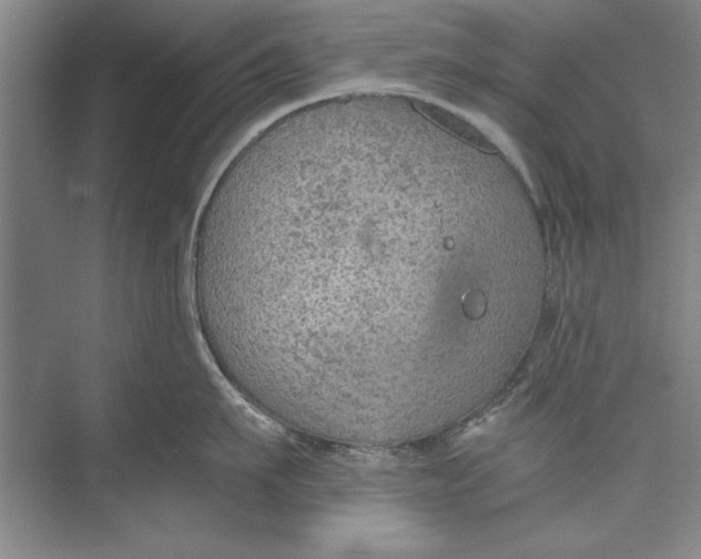 X0000074940911200609221702