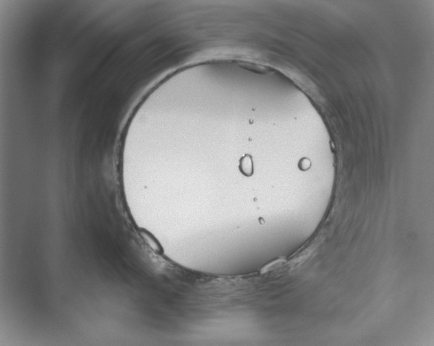 X0000074940912200609221701