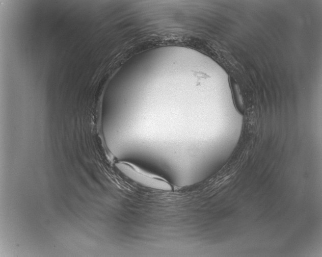 X0000074940916200609221701