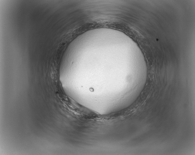 X0000074940917200609221701