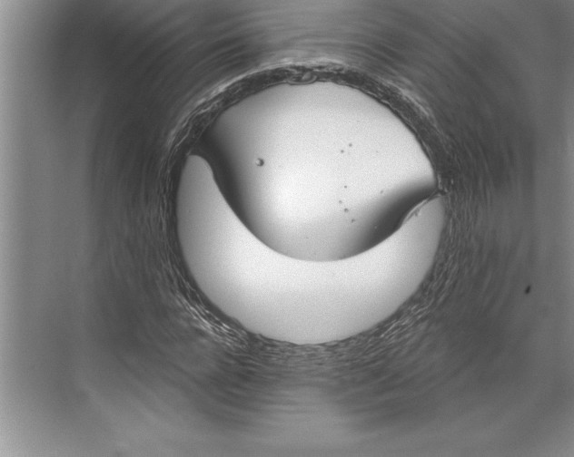 X0000074940920200609221701