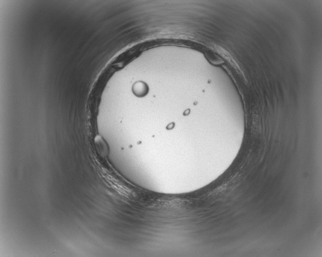 X0000074940926200609221701