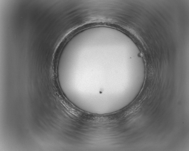 X0000074940927200609221701