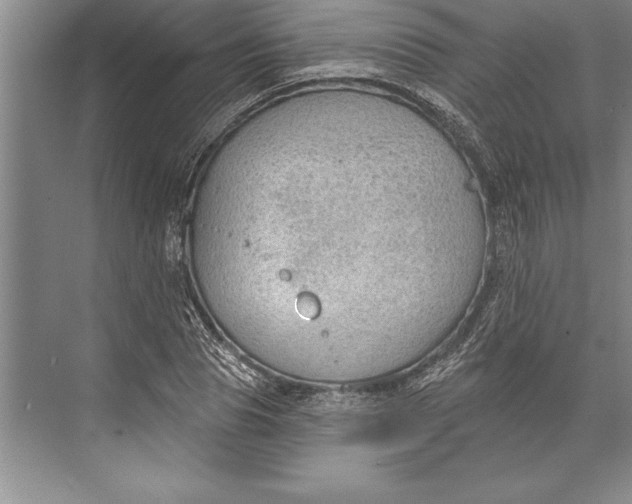 X0000074940929200609221701