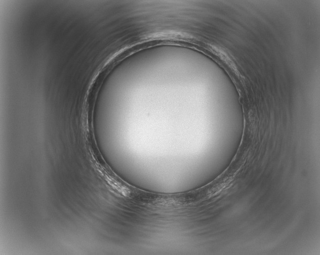 X0000074940931200609221701