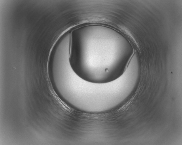 X0000074940932200609221701