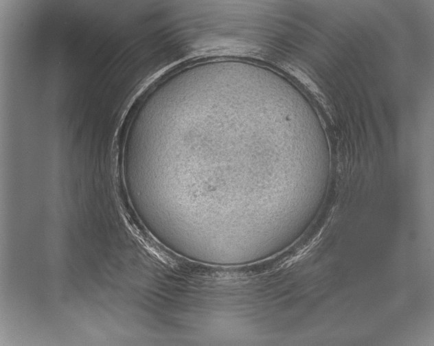 X0000074940933200609221701