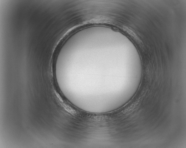 X0000074940934200609221701