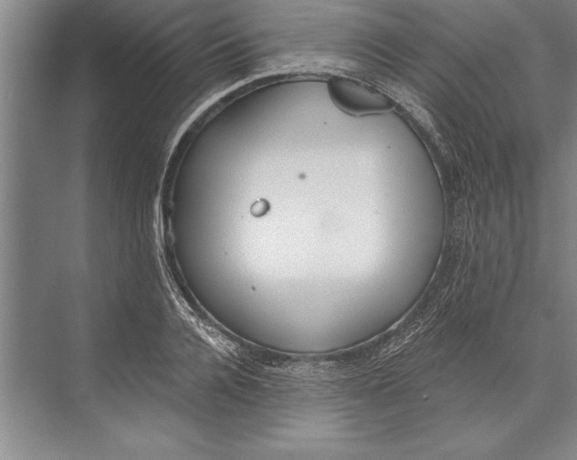 X0000074940936200609221701