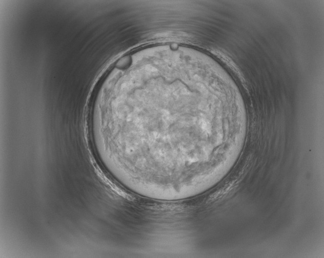 X0000074940941200609221701