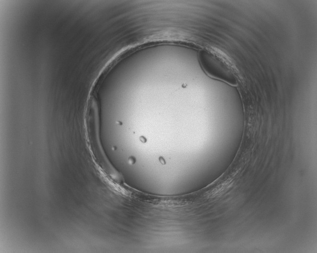 X0000074940942200609221701