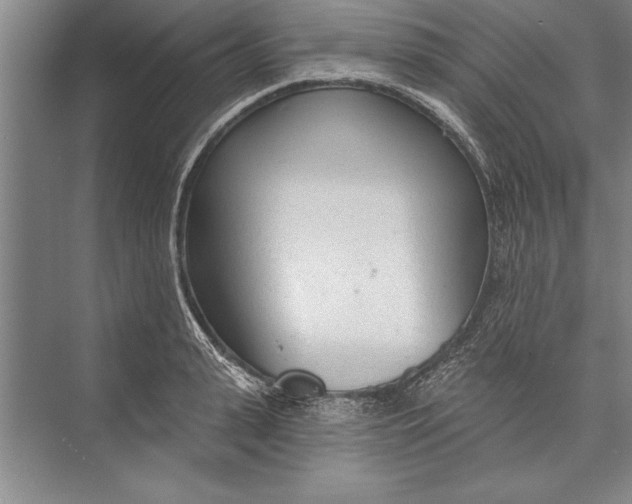 X0000074940943200609221701