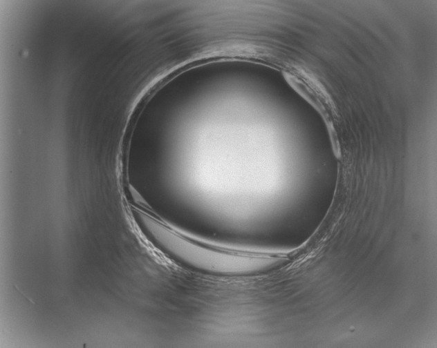 X0000074940944200609221701