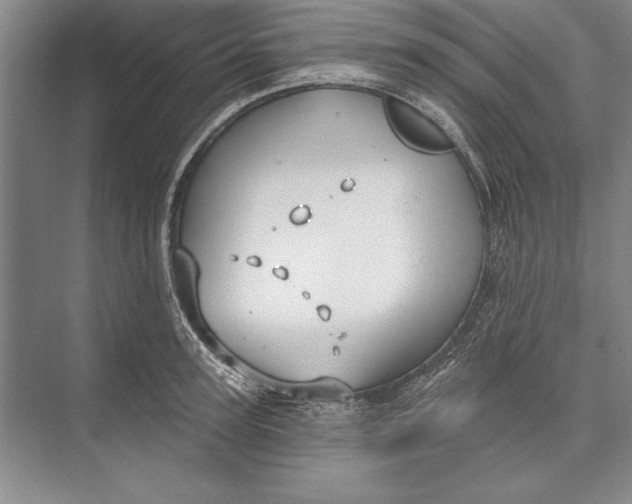 X0000074940947200609221701