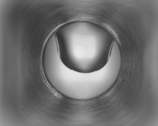 X0000074940948200609221701