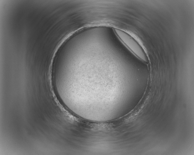 X0000074940949200609221701