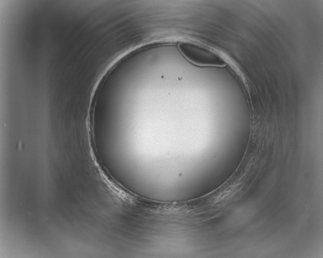 X0000074940951200609221701