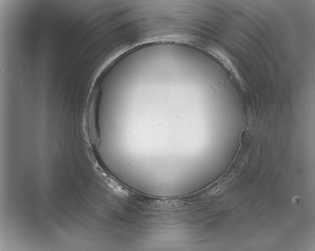 X0000074940952200609221701