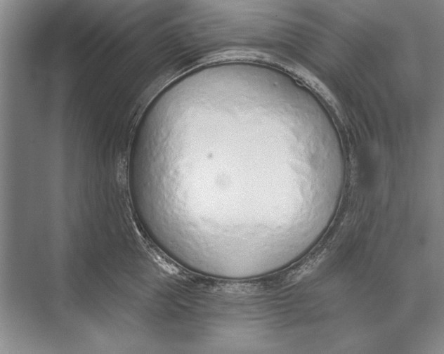 X0000074940953200609221701