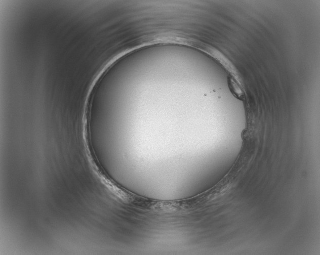 X0000074940955200609221701