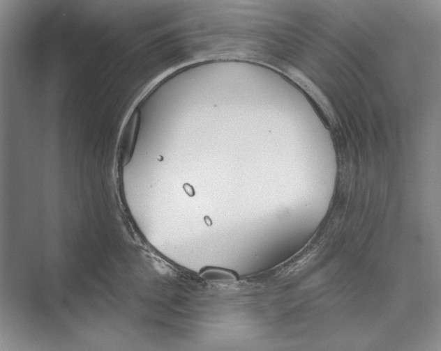 X0000074940956200609221701