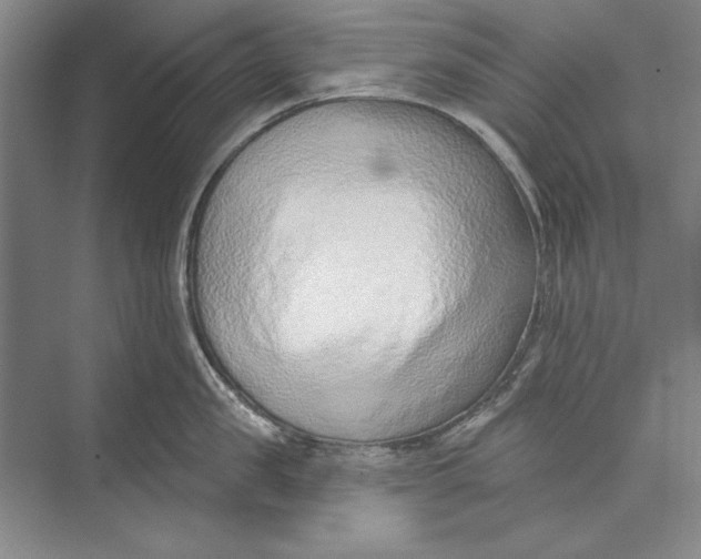 X0000074940957200609221701