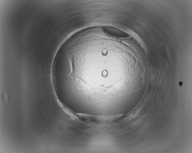 X0000074940958200609221701