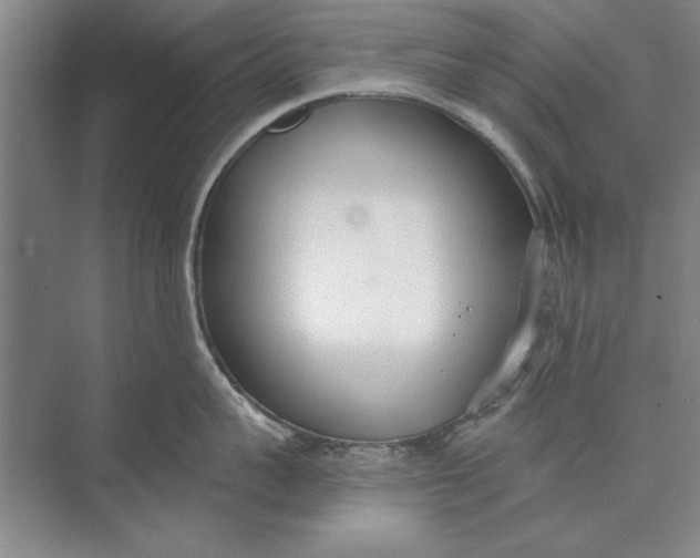 X0000074940959200609221701