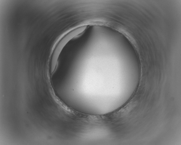 X0000074940960200609221701