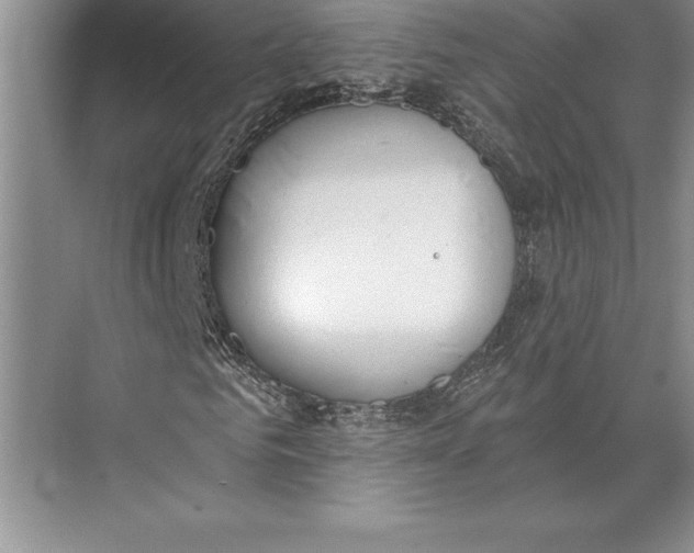 X0000074940961200609221701