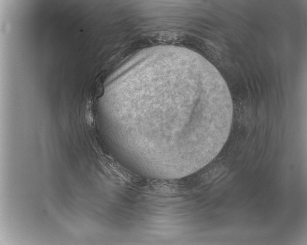 X0000074940962200609221701