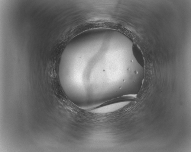 X0000074940965200609221701