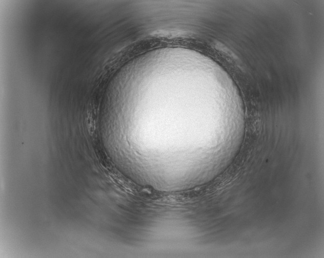 X0000074940966200609221701