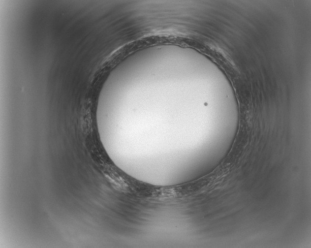 X0000074940968200609221701