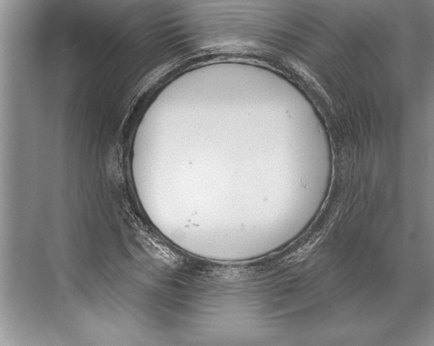 X0000074940970200609221701