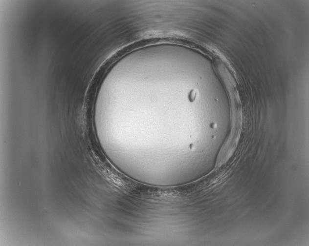 X0000074940975200609221700