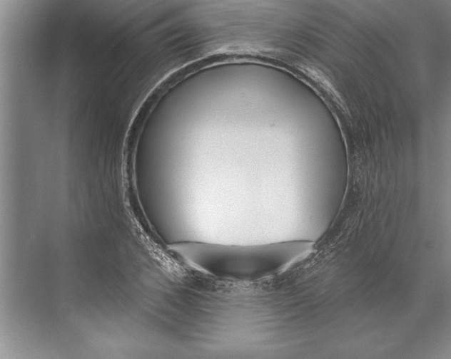 X0000074940976200609221700